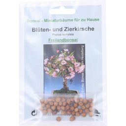TROPICA Blüten- & Zierkirsche - 30 Korn