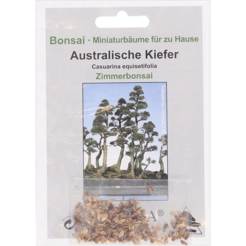 TROPICA Australische Kiefer, 100 Korn - Bloomling Deutschland