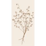 IB Laursen Napkin, Brown - Flower Silhouette