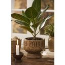 IB Laursen Goblet-Shaped Planter Sif - 1 item