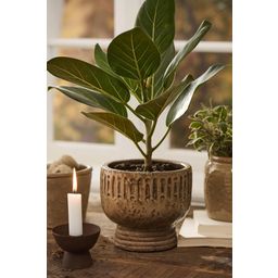 IB Laursen Goblet-Shaped Planter Sif - 1 item