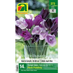 AUSTROSAAT Triumph Tulpen Plum Pudding - 15 Bloembollen