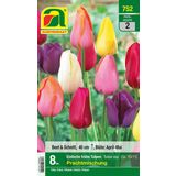 AUSTROSAAT Vroege Tulpen Splendour Mix