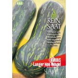 ReinSaat Courge "Longue de Naples"