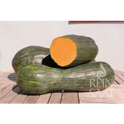 ReinSaat Zucca - Lunga di Napoli