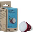 Venso Lampe pour Plante E27 