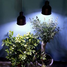 Venso Lampe pour Plante E27 