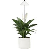 Venso SUNLite Plantenlamp 7W