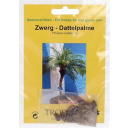 TROPICA Zwerg-Dattelpalme - 25 Korn