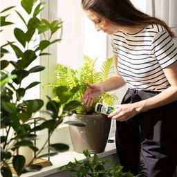 Fertilizzante a Lenta Cessione 