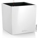 Lechuza Jardinière CUBE Premium 50 - blanc brillant