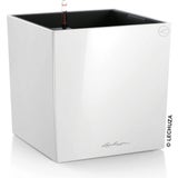 Lechuza CUBE Premium 50 Planter