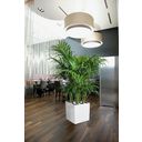 Lechuza Plantenbak CUBE Premium 50 - Wit hoogglans