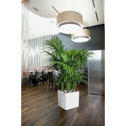 Lechuza Jardinière CUBE Premium 50 - blanc brillant