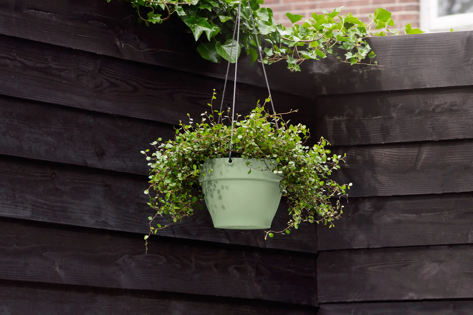 elho Suspension VIBIA Campana - 26 cm - Vert pistache