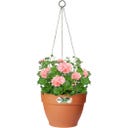 elho Závesný kvetináč vibia campana 26 cm - terra