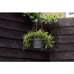 elho vibia campana Hanging Basket 26 cm - Anthracite