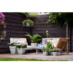 elho vibia campana Hanging Basket 26 cm - Living Concrete