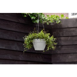 elho vibia campana Hanging Basket 26 cm - Living Concrete