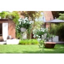 elho vibia campana Hanging Basket 26 cm - Living Concrete