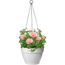 elho vibia campana Hanging Basket 26 cm - Living Concrete