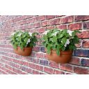 elho vibia campana wall pot 35cm - Terra