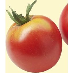 TROPICA Bio-Tomate 