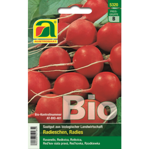 Bio-Radies "Wiener Rotes Treib", Saatband - 1 Pkg