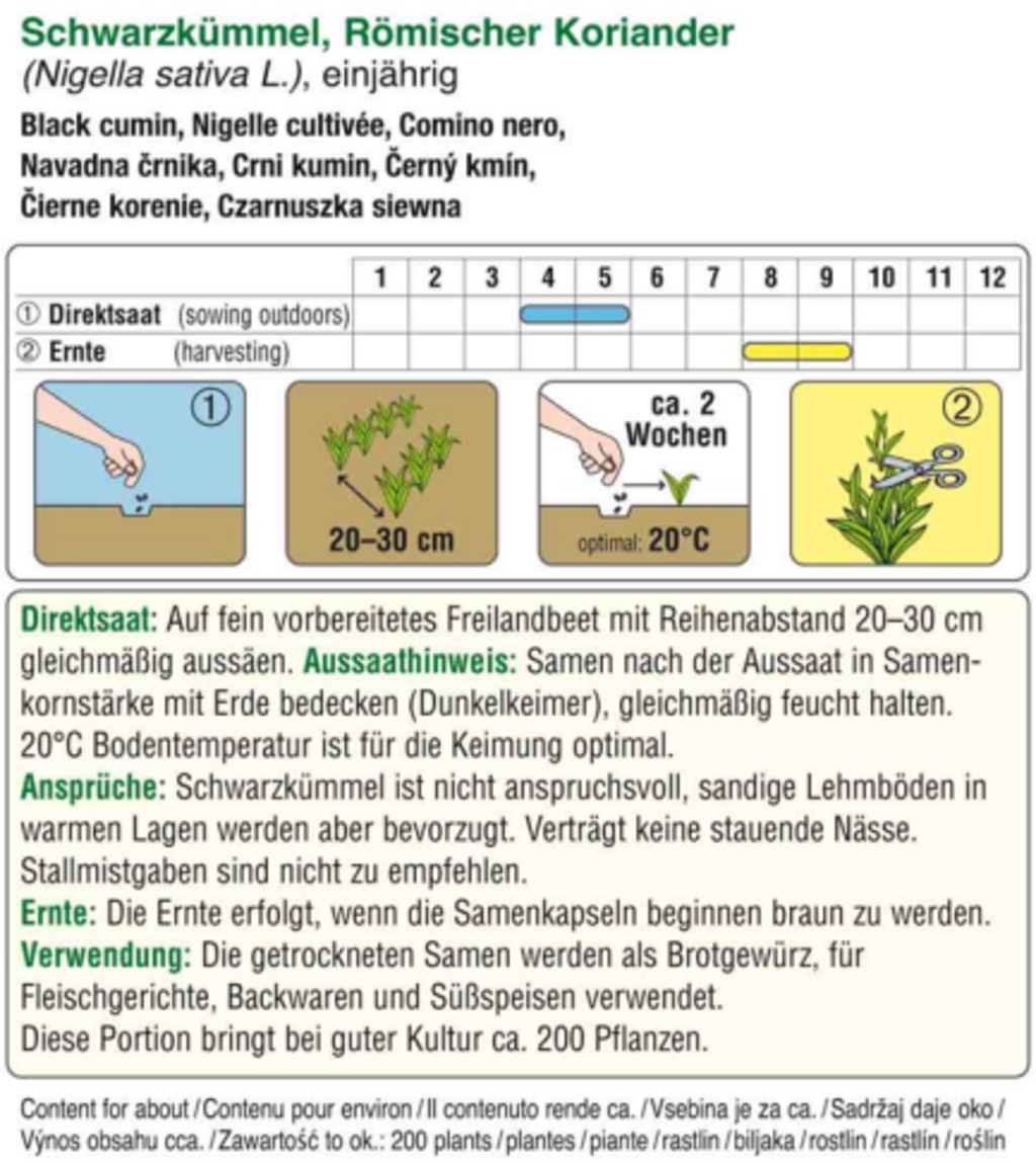AUSTROSAAT Črna kumina - 1 pkt.