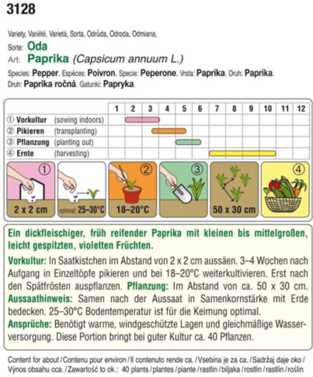AUSTROSAAT Poivron Violet 