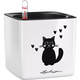 Lechuza Namizni sadilnik CUBE Glossy CAT 14