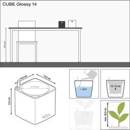 Lechuza Tafelpot CUBE Glossy CAT 14