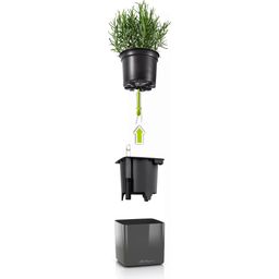 Lechuza Pot de Fleur - CUBE Glossy CAT 14