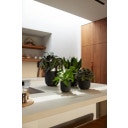 elho jazz rund 14 cm - living schwarz