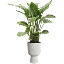 elho vibes fold coupe 30 cm - Zijde wit