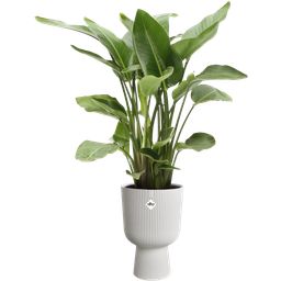 elho vibes fold coupe 30 cm - blanc satiné