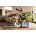 elho jazz rund 35 cm - lavendel lila