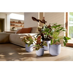 elho jazz rund 35 cm - lavendel lila