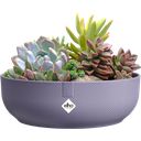 elho jazz bowl 28 cm - Lavender Lilac