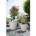 elho vibia campana rond 30 cm - blanc satiné