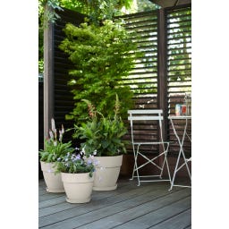 elho vibia campana rond 30 cm - blanc satiné