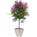elho vibia campana round - 40 cm - Bianco seta