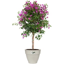 elho vibia campana round - 40 cm - Bianco seta