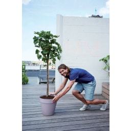 elho loft urban rund rollen 40 - lavendel lila