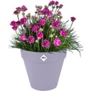 elho loft urban rund rollen 40 - lavendel lila