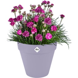 elho loft urban rund rollen 40 - lavendel lila