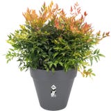 elho loft urban redondo com rodas 40