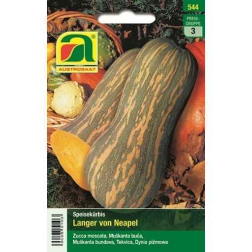 AUSTROSAAT Pumpkin- Langer from Naples - 1 Pkg