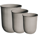 DBKD OUT STRIPE - Set of 3