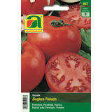 AUSTROSAAT Tomate Zieglers Fleisch